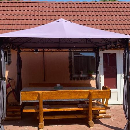 ホテル Casa Blendea Daniela Cîrţişoara エクステリア 写真