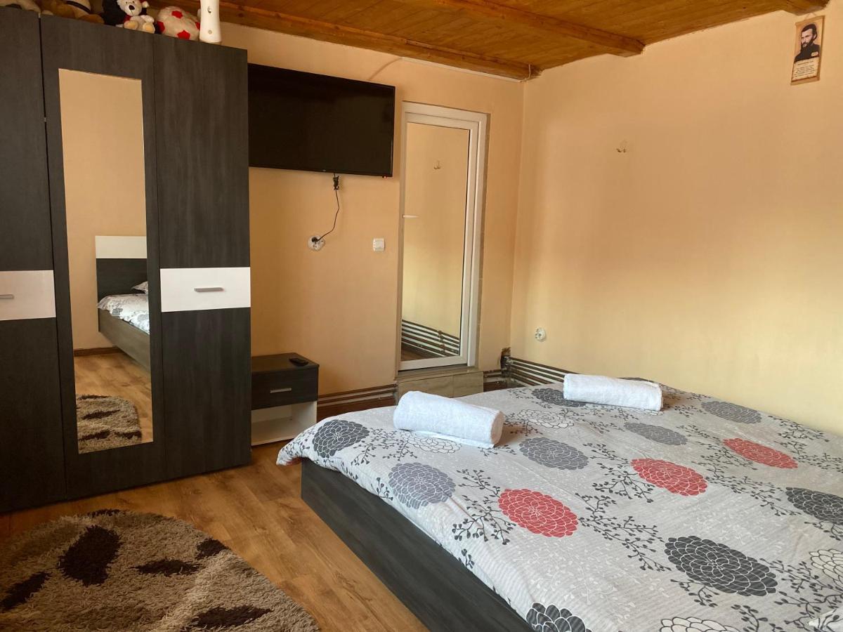 ホテル Casa Blendea Daniela Cîrţişoara エクステリア 写真