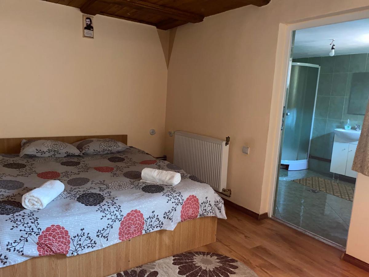 ホテル Casa Blendea Daniela Cîrţişoara エクステリア 写真
