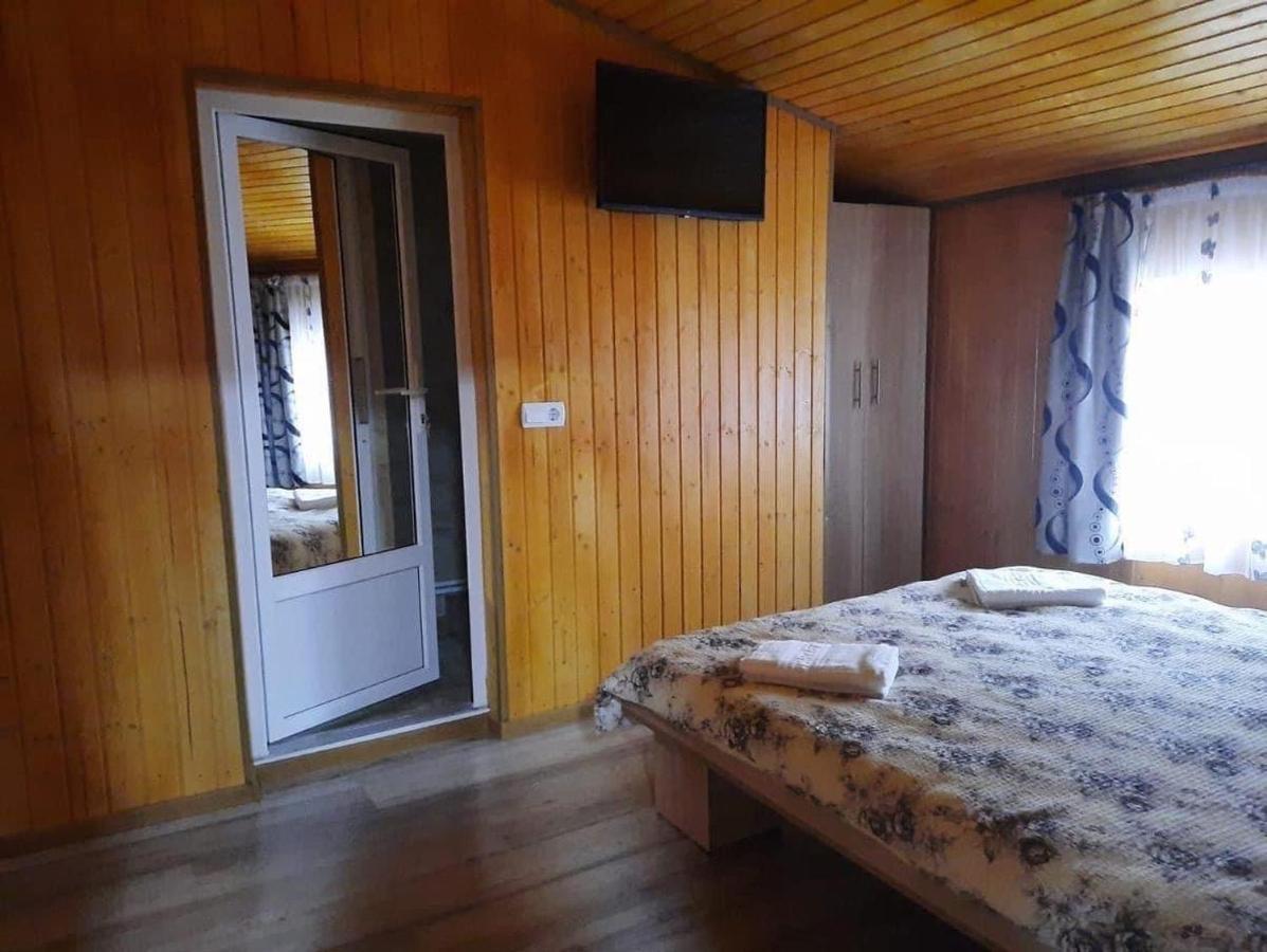 ホテル Casa Blendea Daniela Cîrţişoara エクステリア 写真