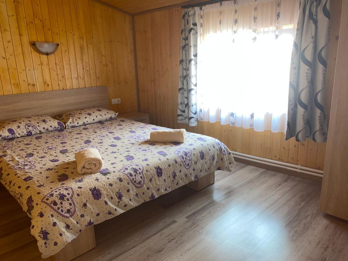 ホテル Casa Blendea Daniela Cîrţişoara エクステリア 写真
