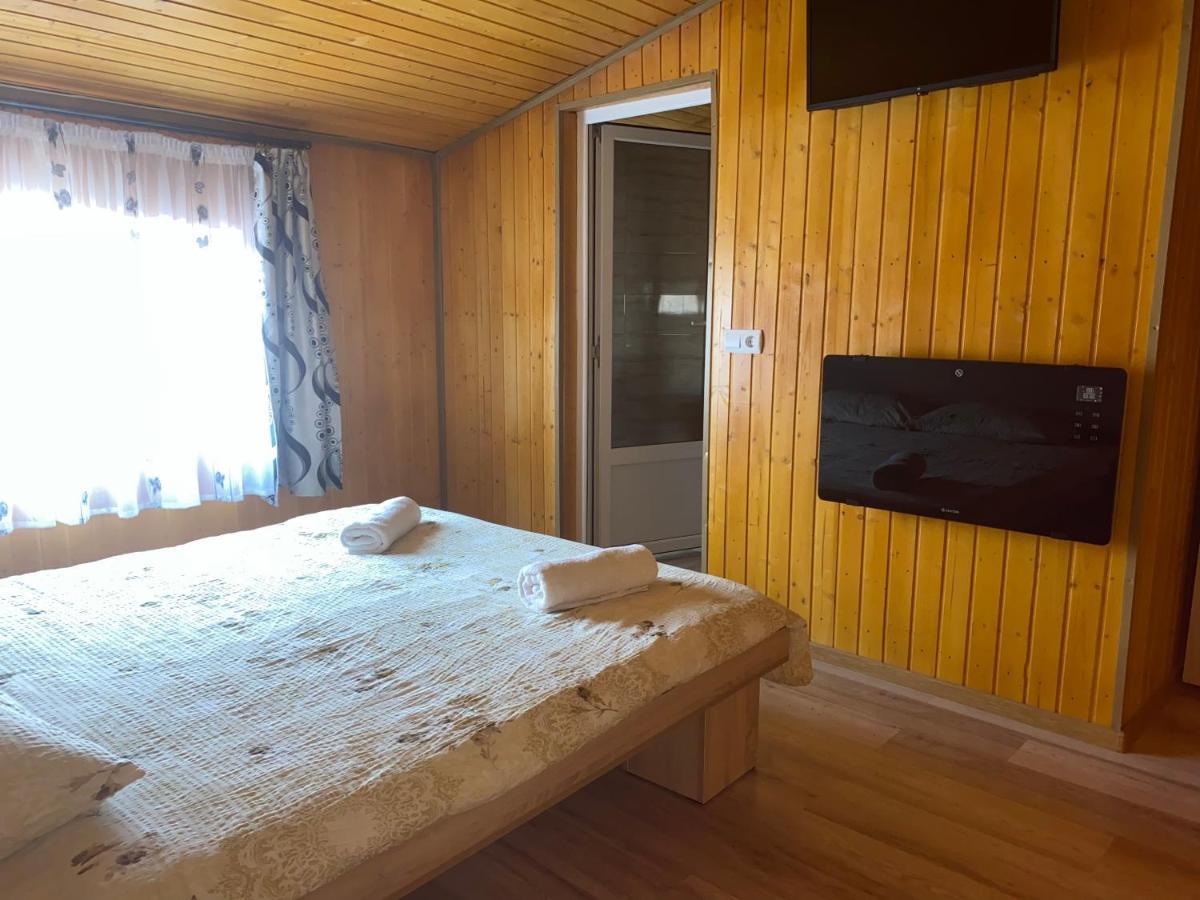 ホテル Casa Blendea Daniela Cîrţişoara エクステリア 写真