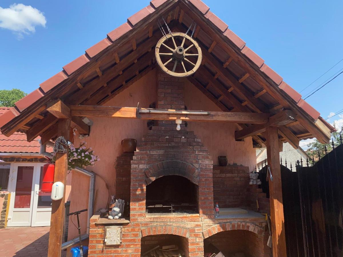 ホテル Casa Blendea Daniela Cîrţişoara エクステリア 写真