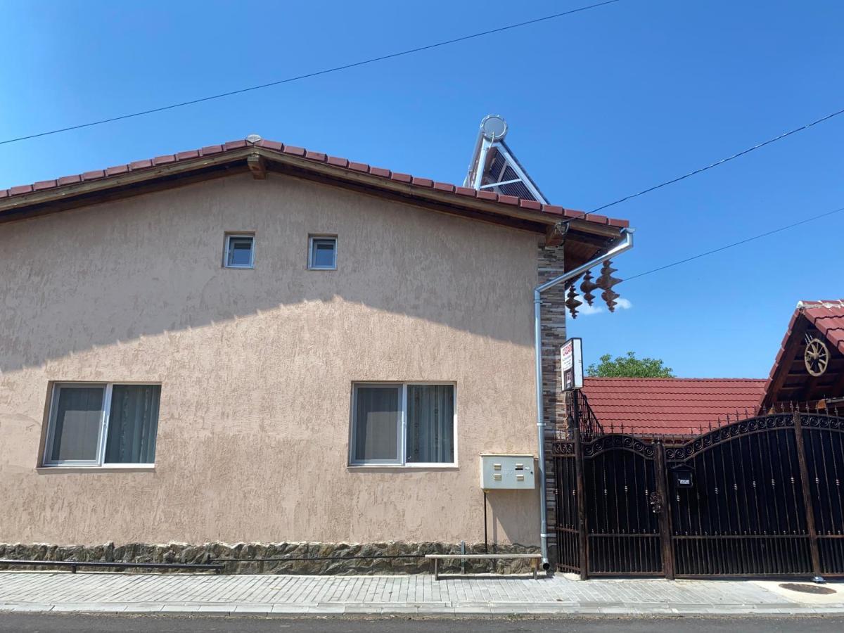 ホテル Casa Blendea Daniela Cîrţişoara エクステリア 写真