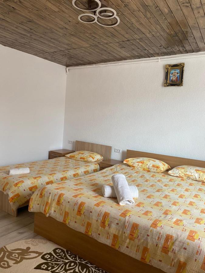 ホテル Casa Blendea Daniela Cîrţişoara エクステリア 写真