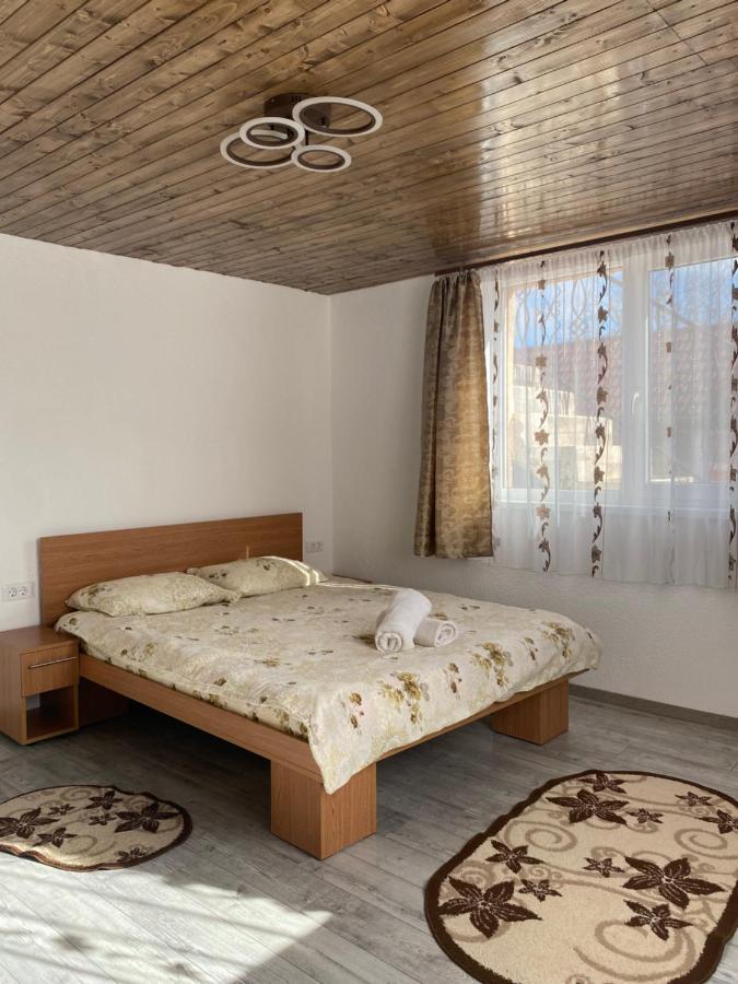 ホテル Casa Blendea Daniela Cîrţişoara エクステリア 写真