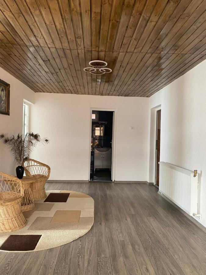 ホテル Casa Blendea Daniela Cîrţişoara エクステリア 写真
